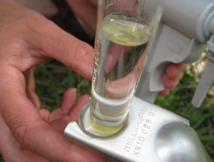 Ecological Change in Lake Minnewaska