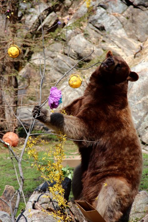 photo by Karen Parashkevov