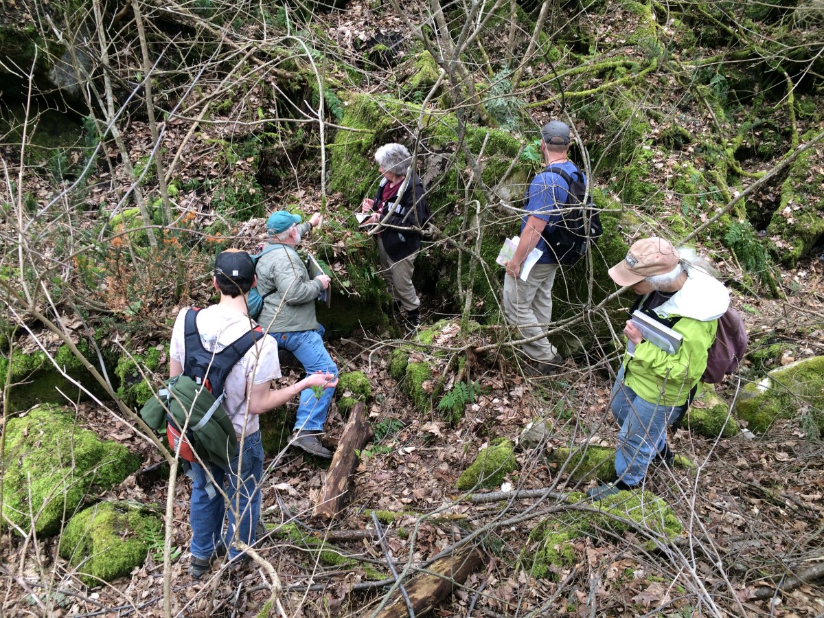 Clark Reservation State Park Bioblitz