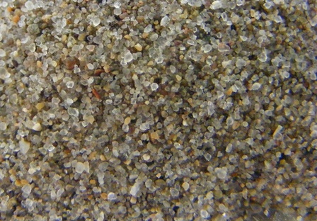 Evangola Beach Sand