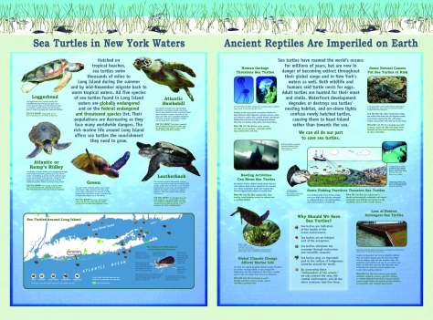 Ecosystem Based Management Panels at Sunken Meadow State Park on Long Island.