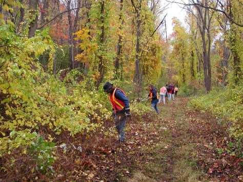 Black Diamond Trail Volunteer Work Day