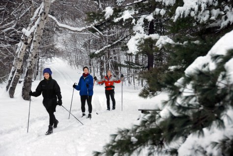 Cross Country Skiing
