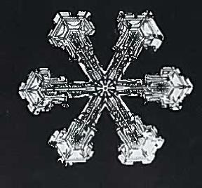 Stellar Hex Bentley & Humphreys P. 111