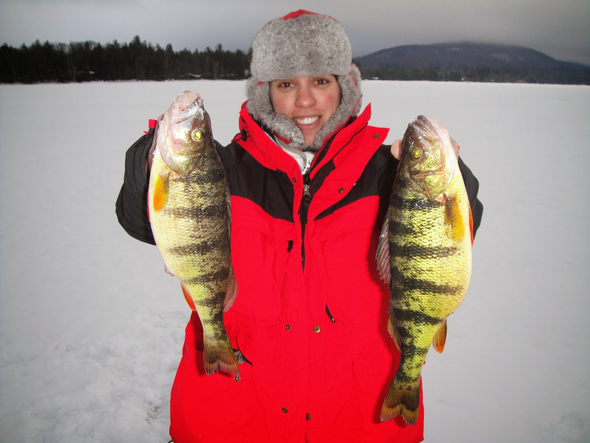 TP Ice perch