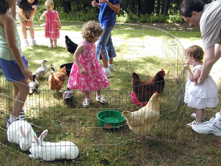 John Jay kids in pen with Rabbits and Chickens