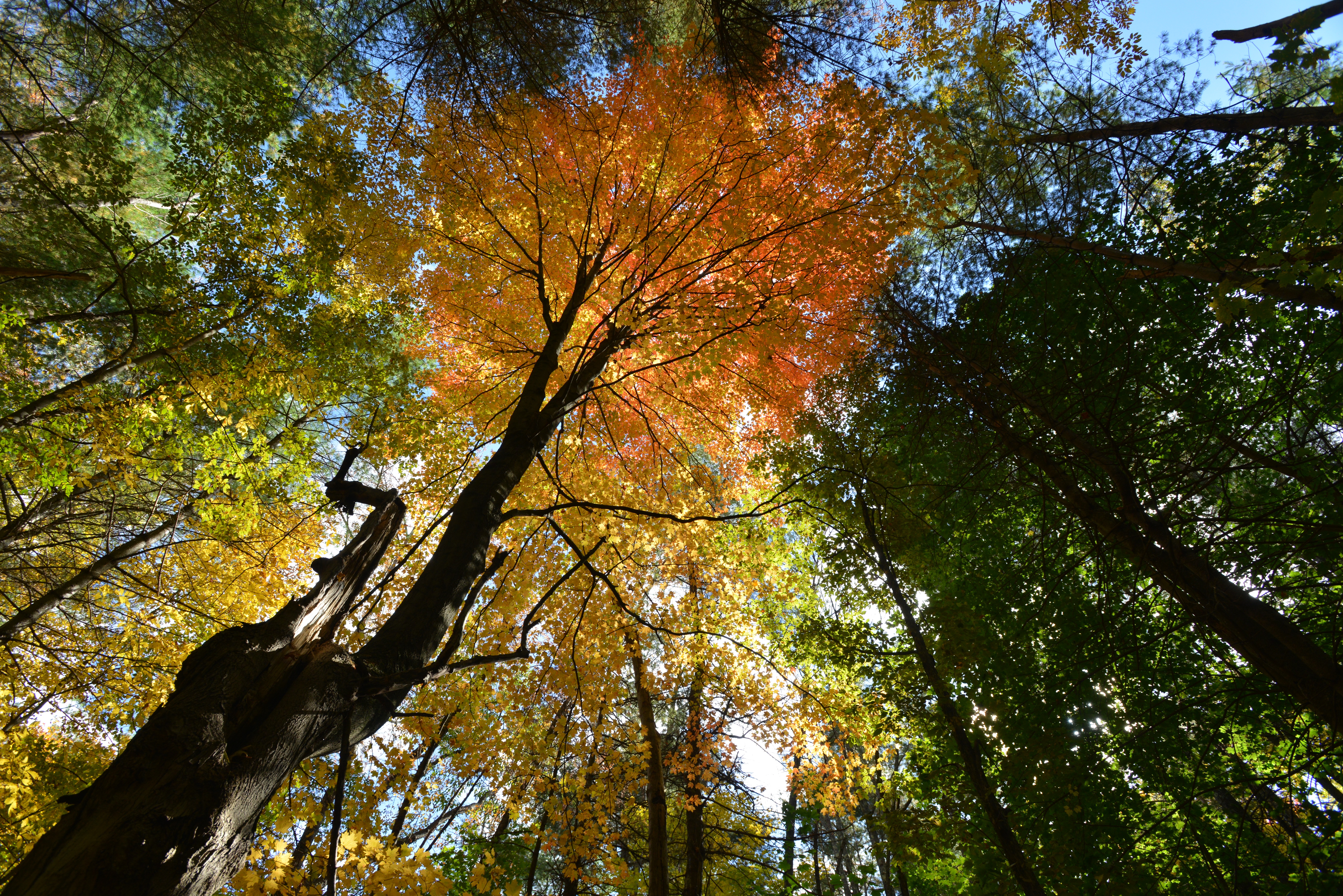 bennington-battlefield-_7819