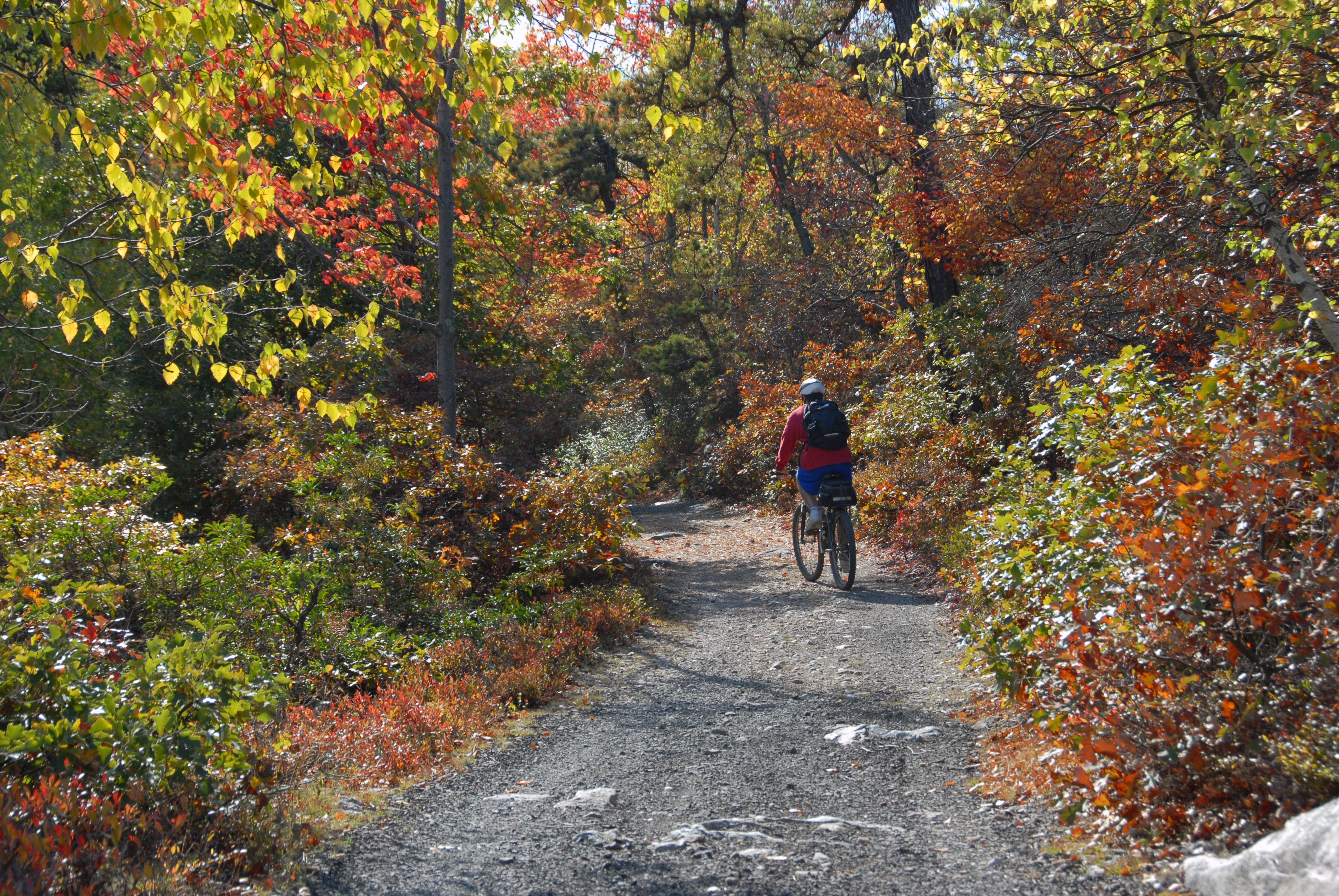 biker-on-trail-fall-lake-awosting-minnewaska-sp-_0053