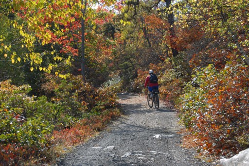 biker-on-trail-fall-lake-awosting-minnewaska-sp-_0053