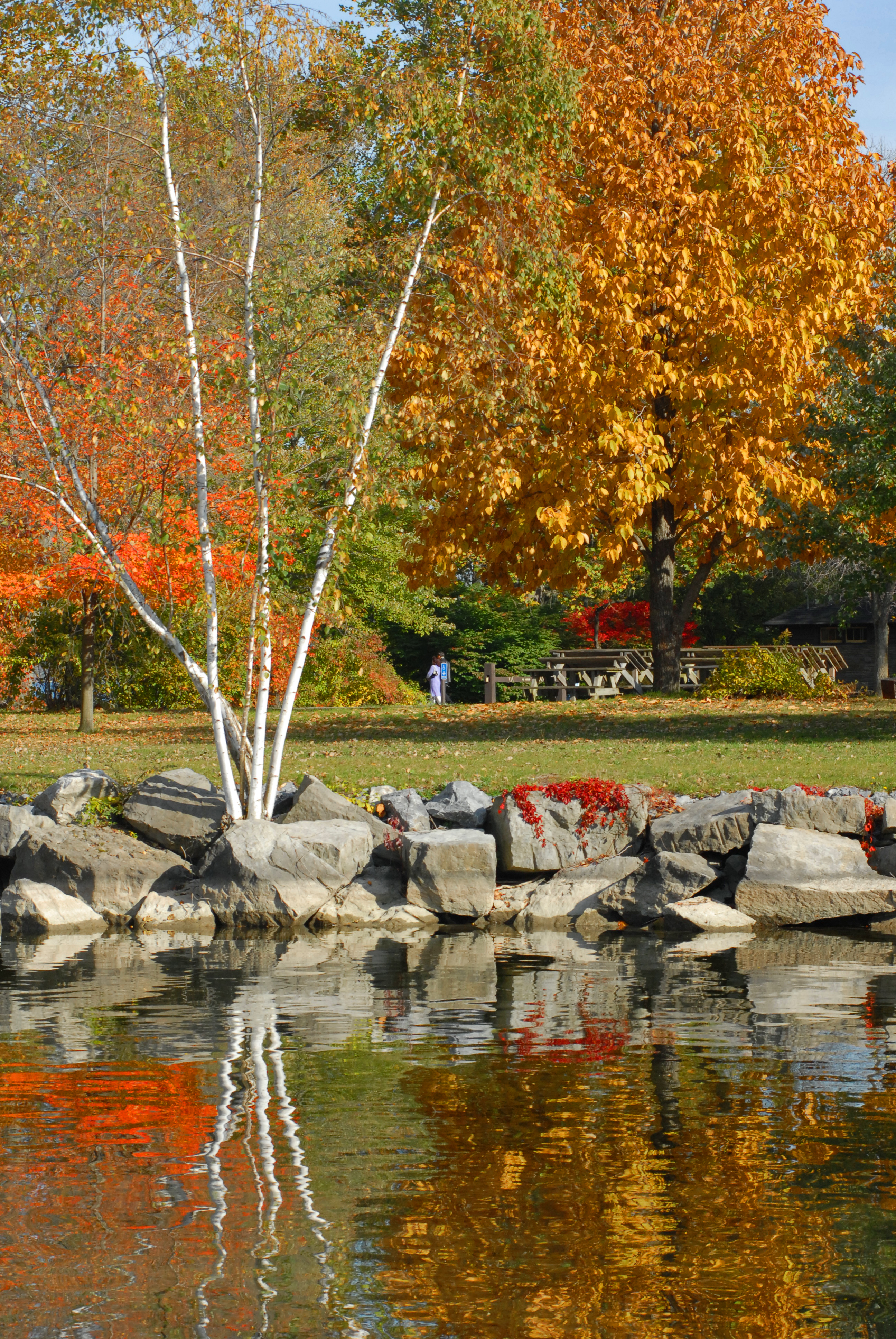 taughannock-falls-state-park-_par_0012