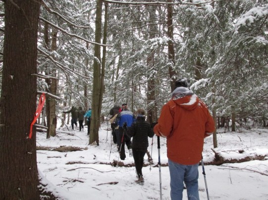 hwa-survey-alyssa-reid-state-parks