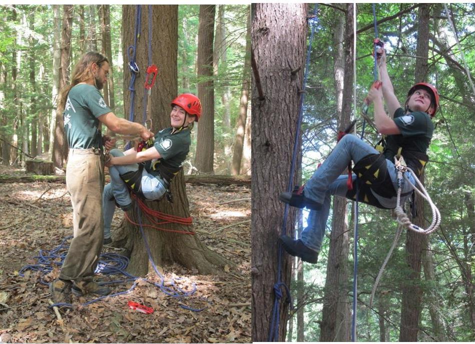 forest-health-specialists-jacob-sidey-and-abigail-pierson-prepare-to-climb-a-hemlock-at-r-treman-state-park-and-abigail-shows-how-they-climb-using-ropes-and-no-spikes-sarah-travalio-state-parks