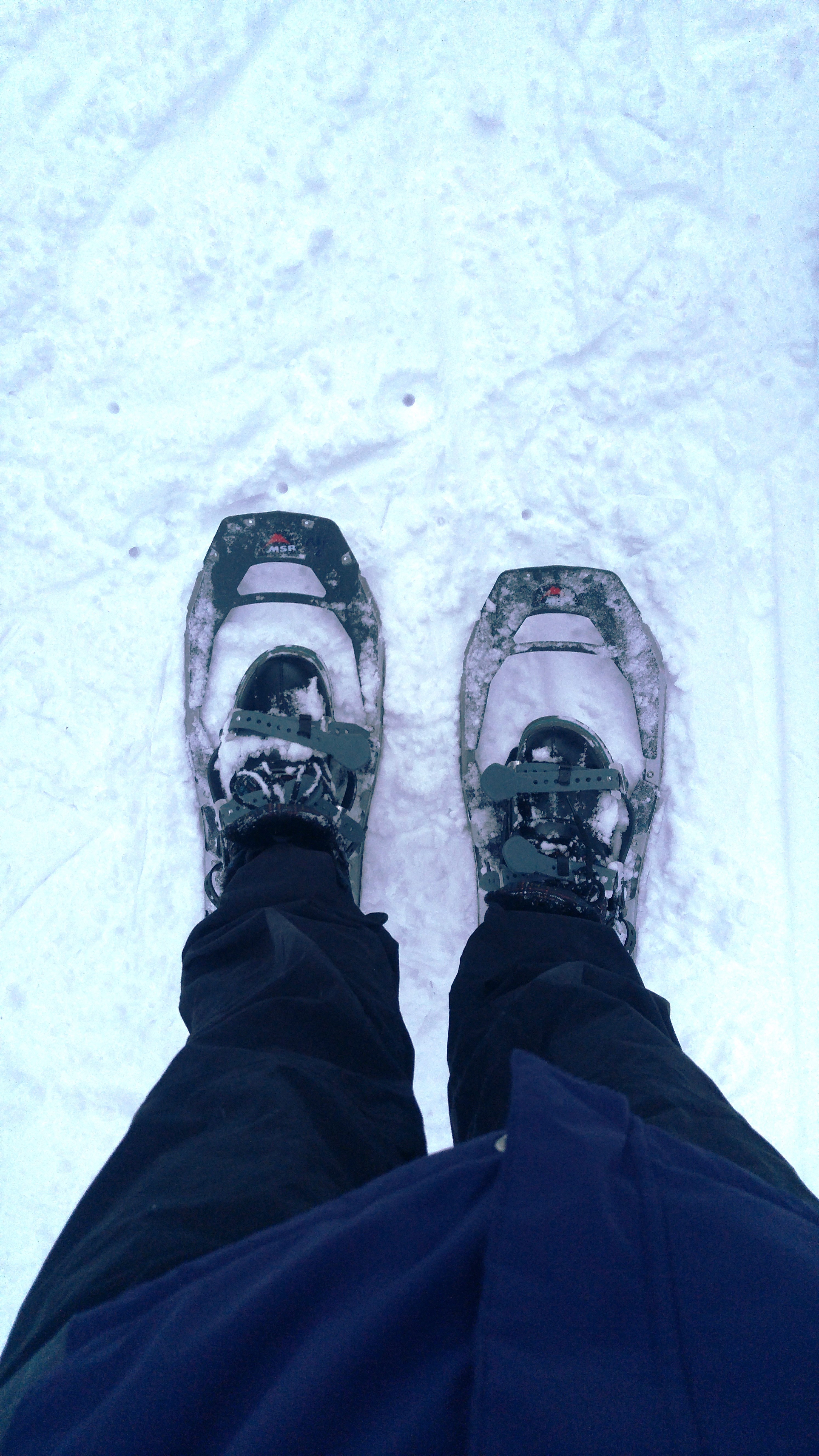 snowshoes_feet