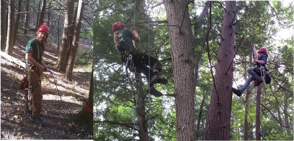 surveying-hemlocks-jacob-sidey-left-and-center-at-mine-kill-state-park-and-abigail-pierson-right-at-robert-h-treman-state-park-sarah-travalio-state-parks