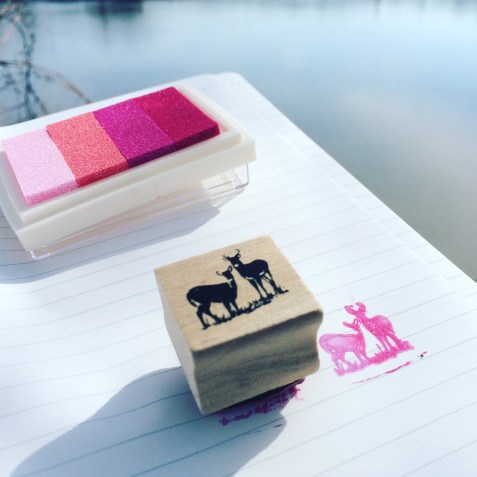 letterboxing stamp (photo by Erin Lennon)
