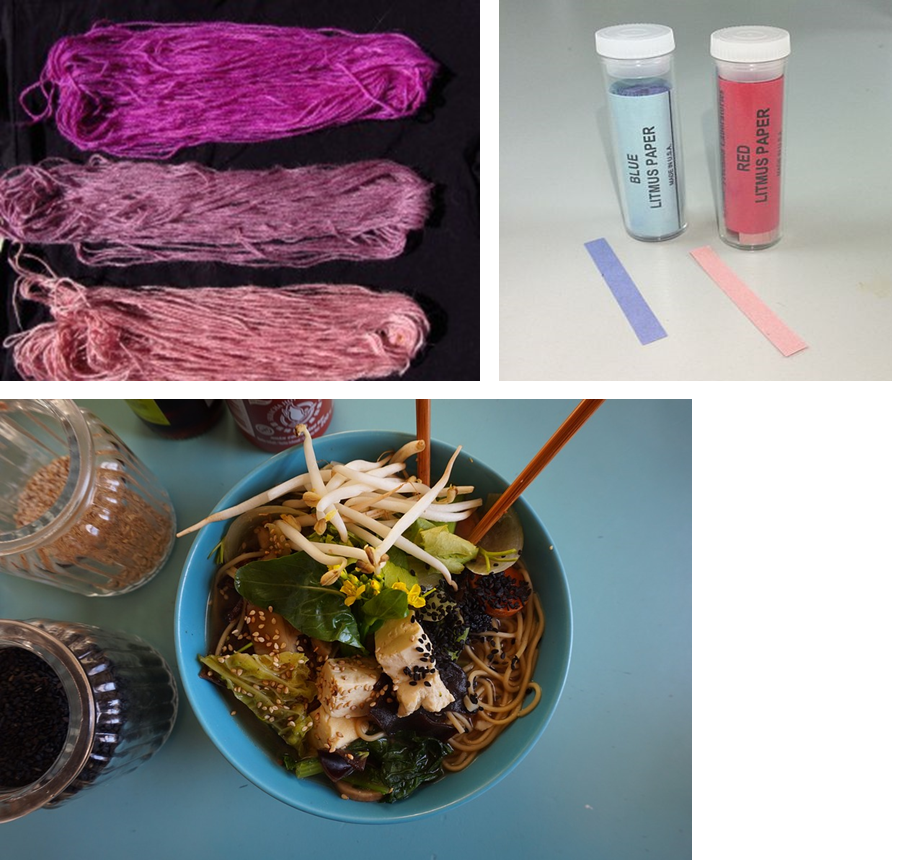 3 - Many uses of lichen (photos from wikipedia and mycopigments dot com, referencing Noah Siegel)