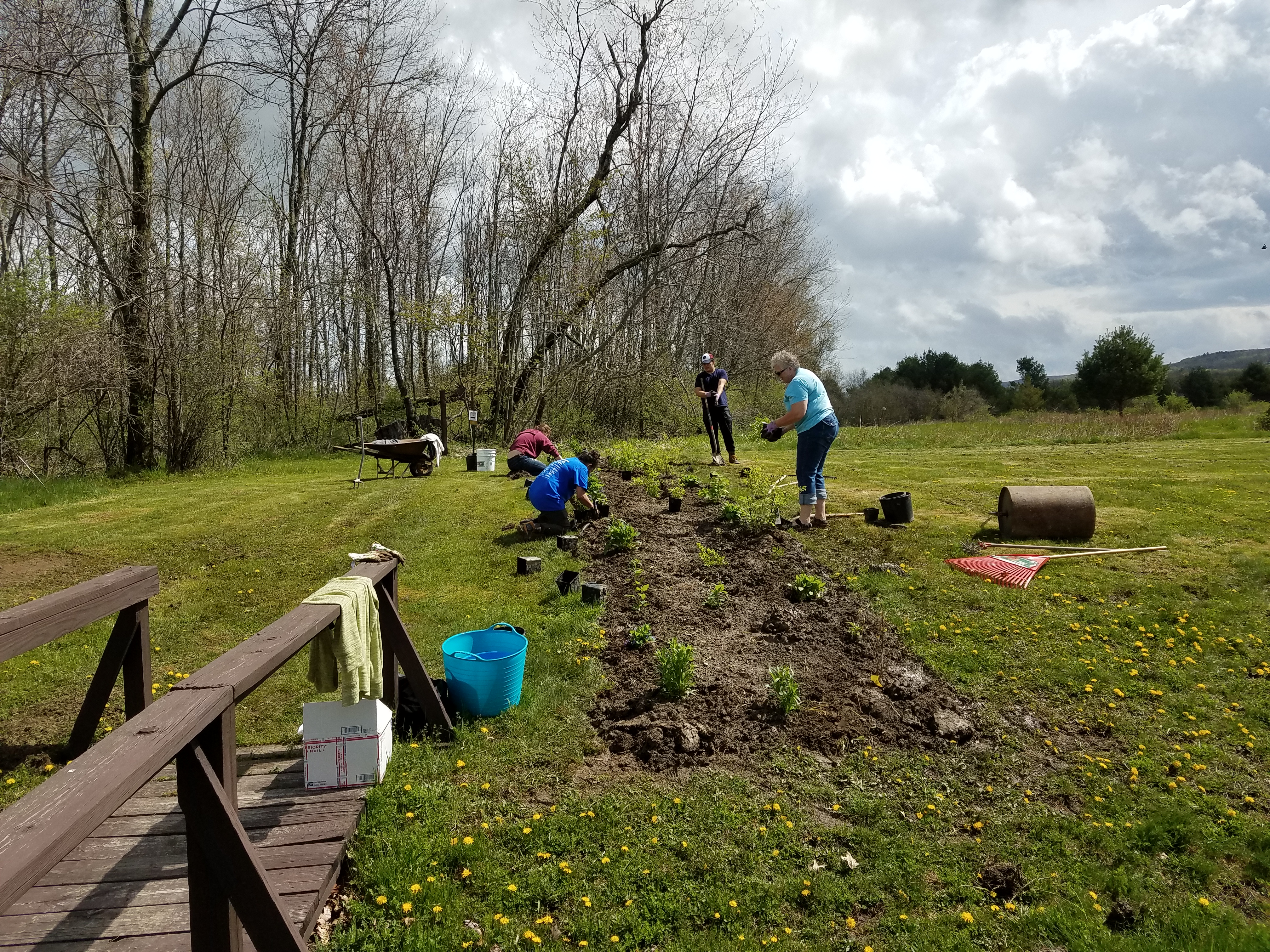 Glimmerglass Garden_ILMPD