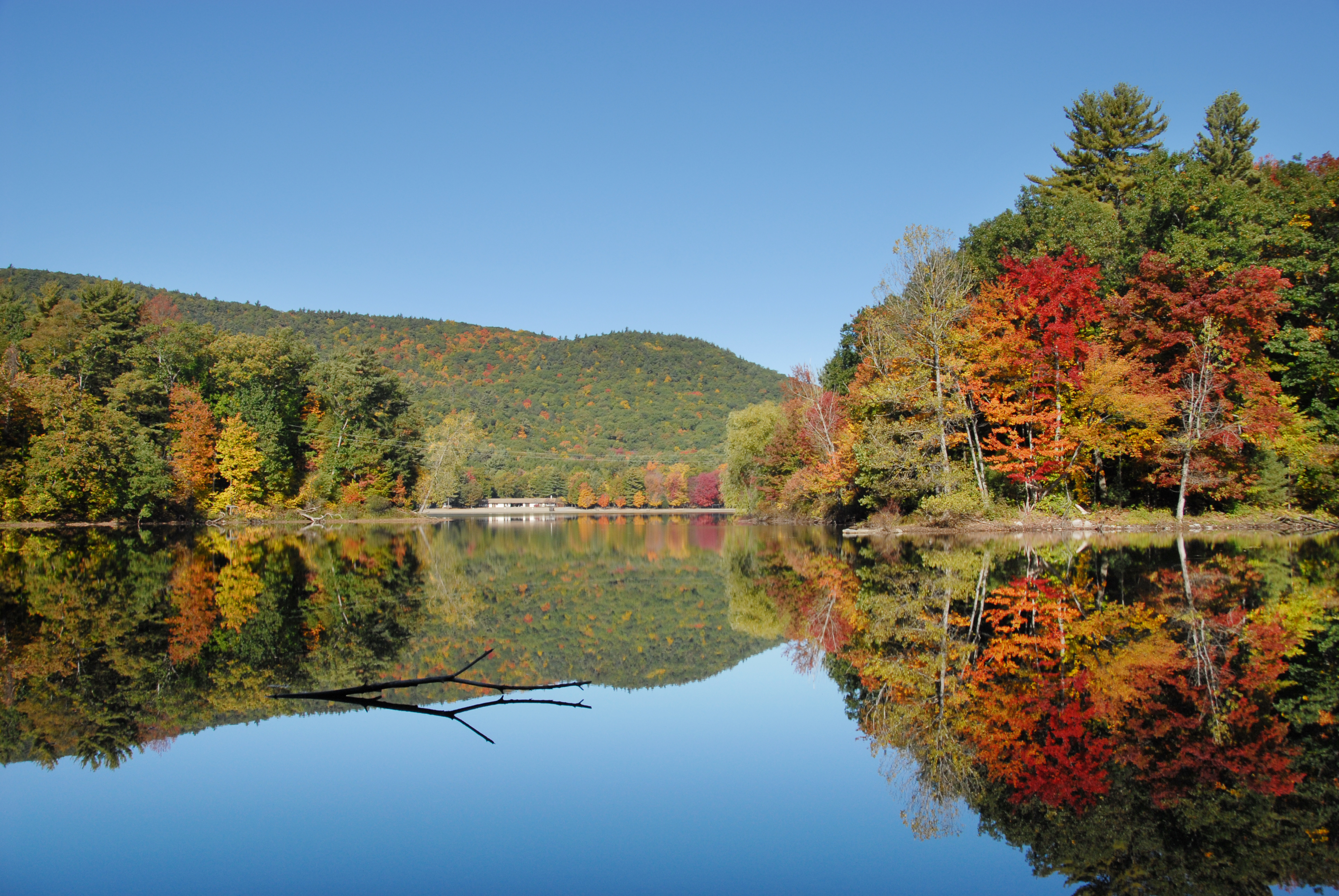 Moreau Fall_0011-12 copy