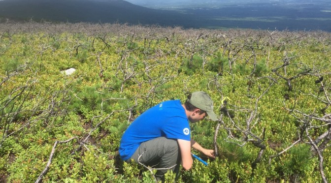 From Ashes to Awesome: Sam’s Point