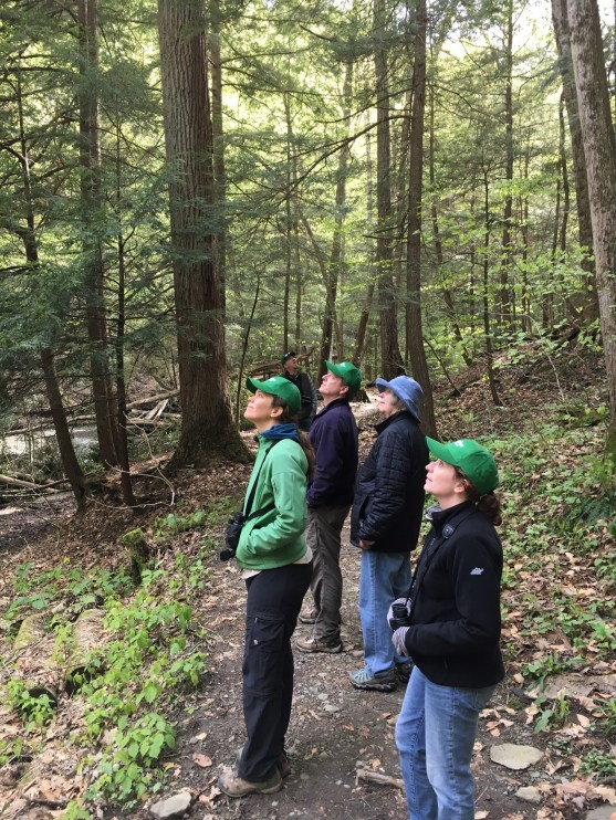 BirdersFilmoreGlenStatePark_JillianLiner