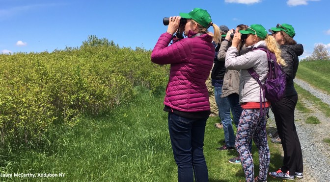 A Conservation Cornerstone Celebrates 20 Years