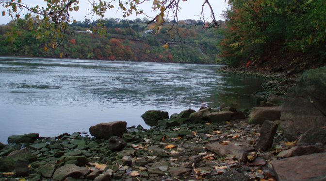 The Niagara Gorge at Low Water