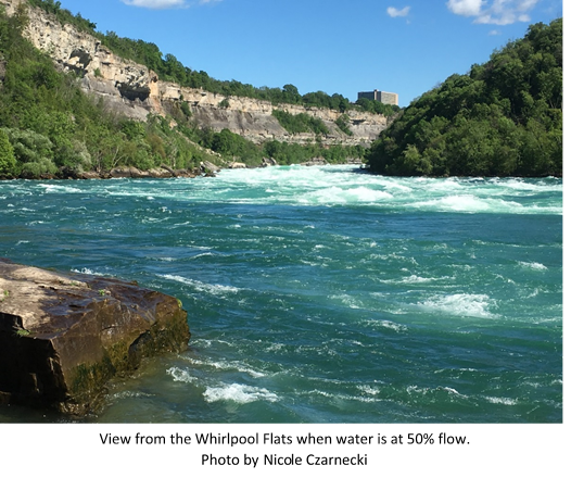 Photo by Nicole Czarnecki