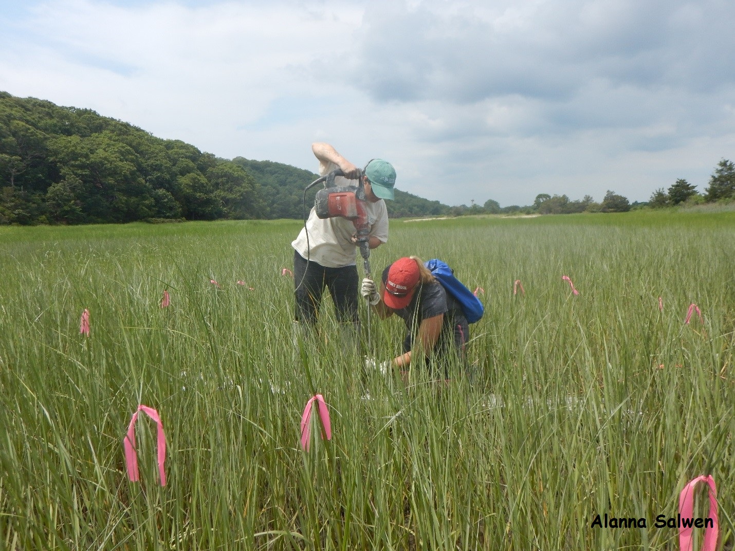 DEC staffers with photo credit