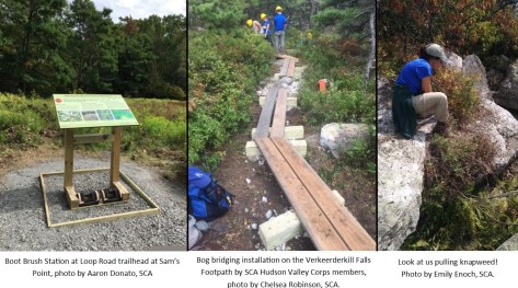 Three project photos