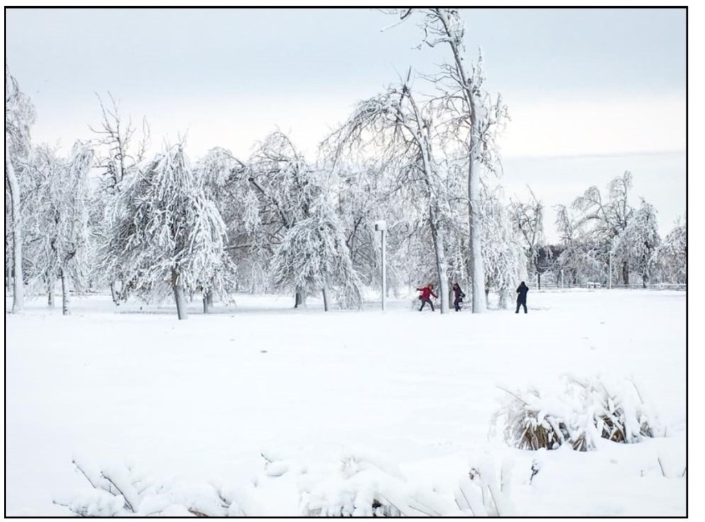 A Real Winter Wonderland | New York State Parks and Historic Sites Blog