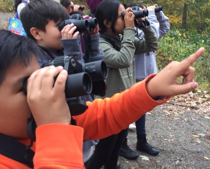 Ossining Grd 5 A Swaim