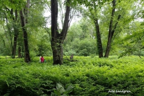 AlleganySP_J LundgrenName