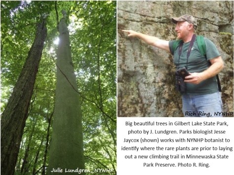 BigTrees&JesseJaycox_R Ring