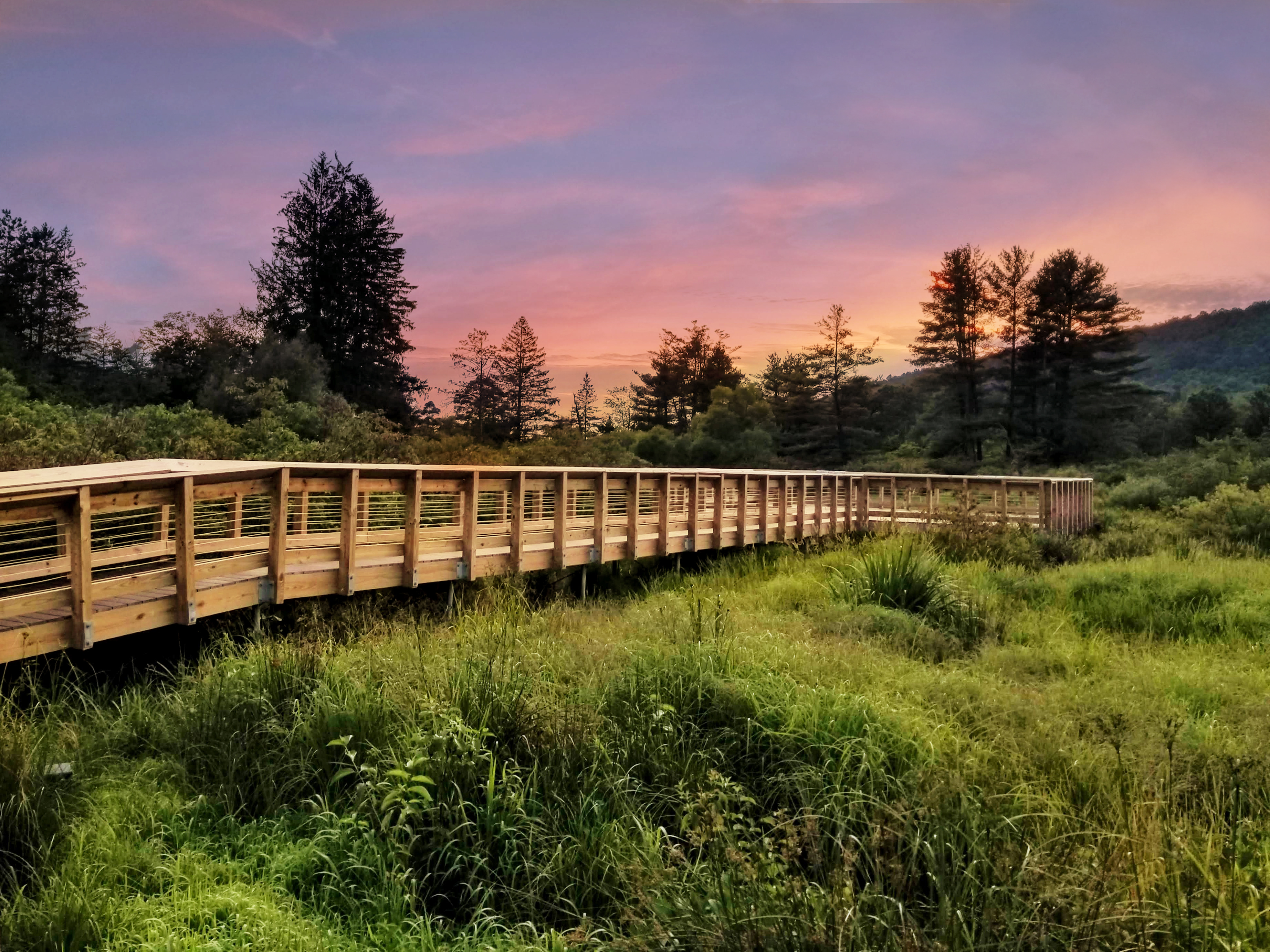 Observation deck sunset