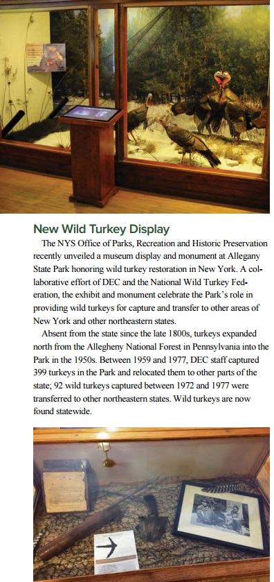 Conservationist 10-2017 p 28