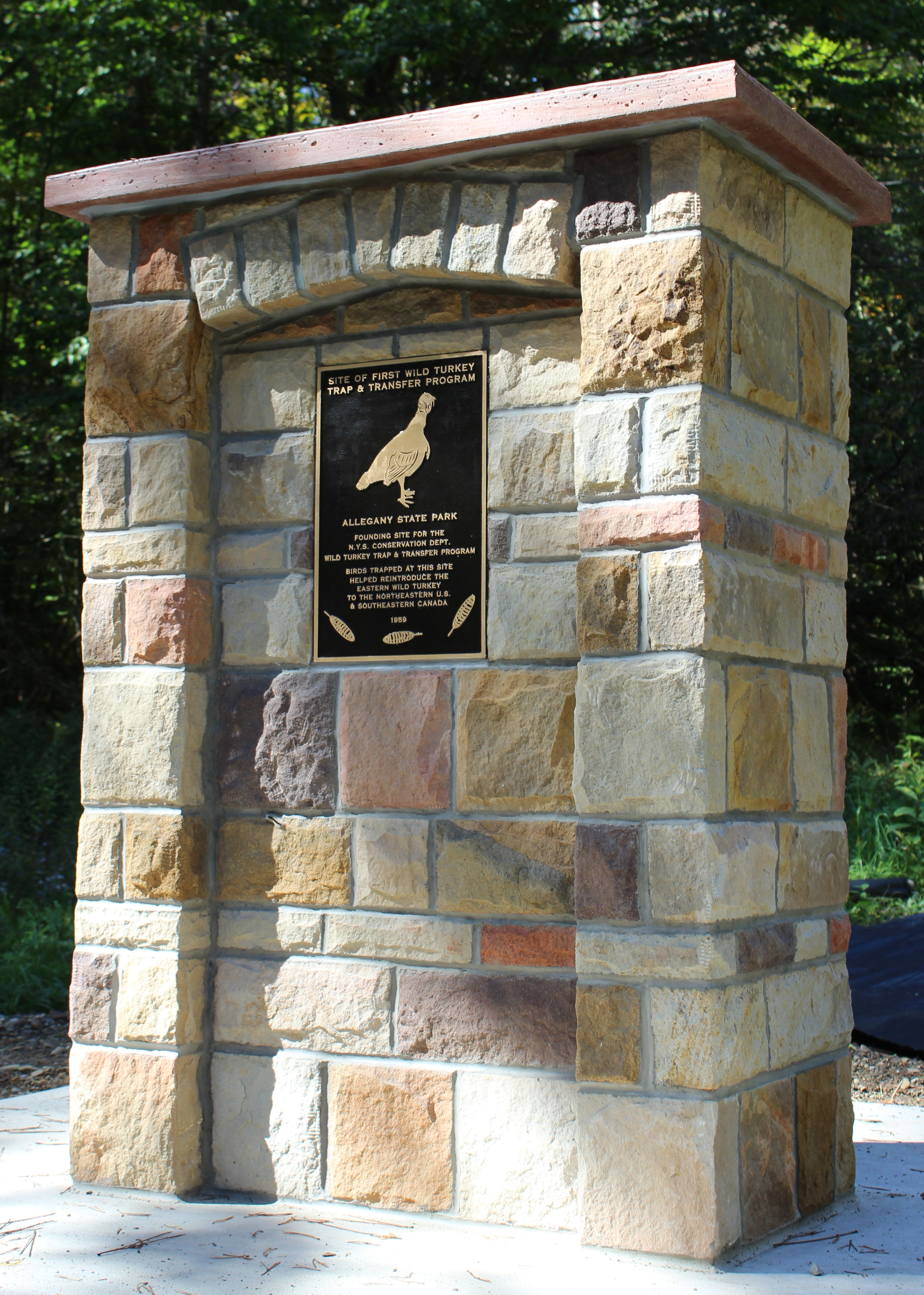 RickMiller OleanTimesHerald