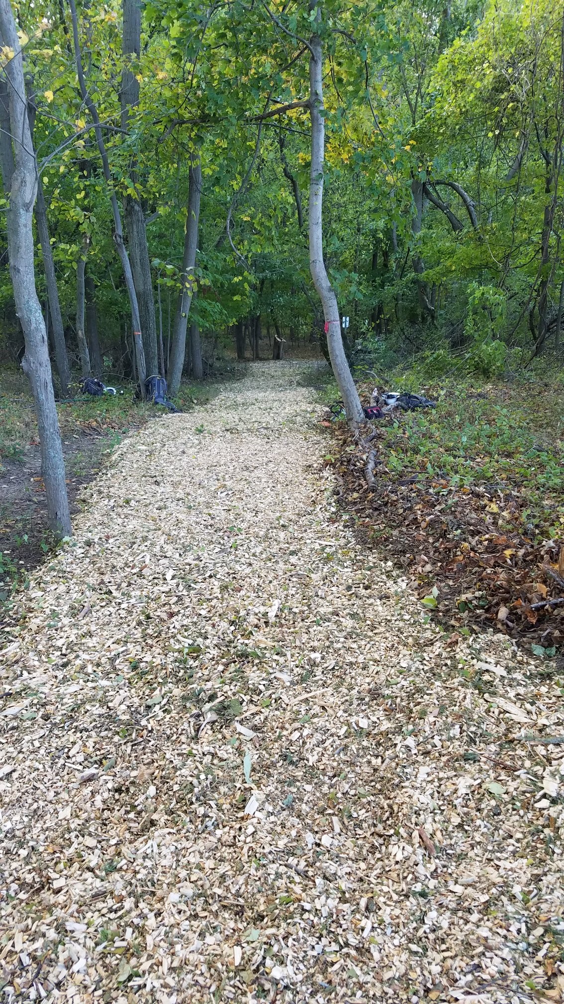 HamlinTrailWoodchips