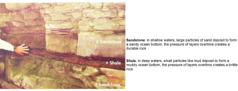 SandstoneShale