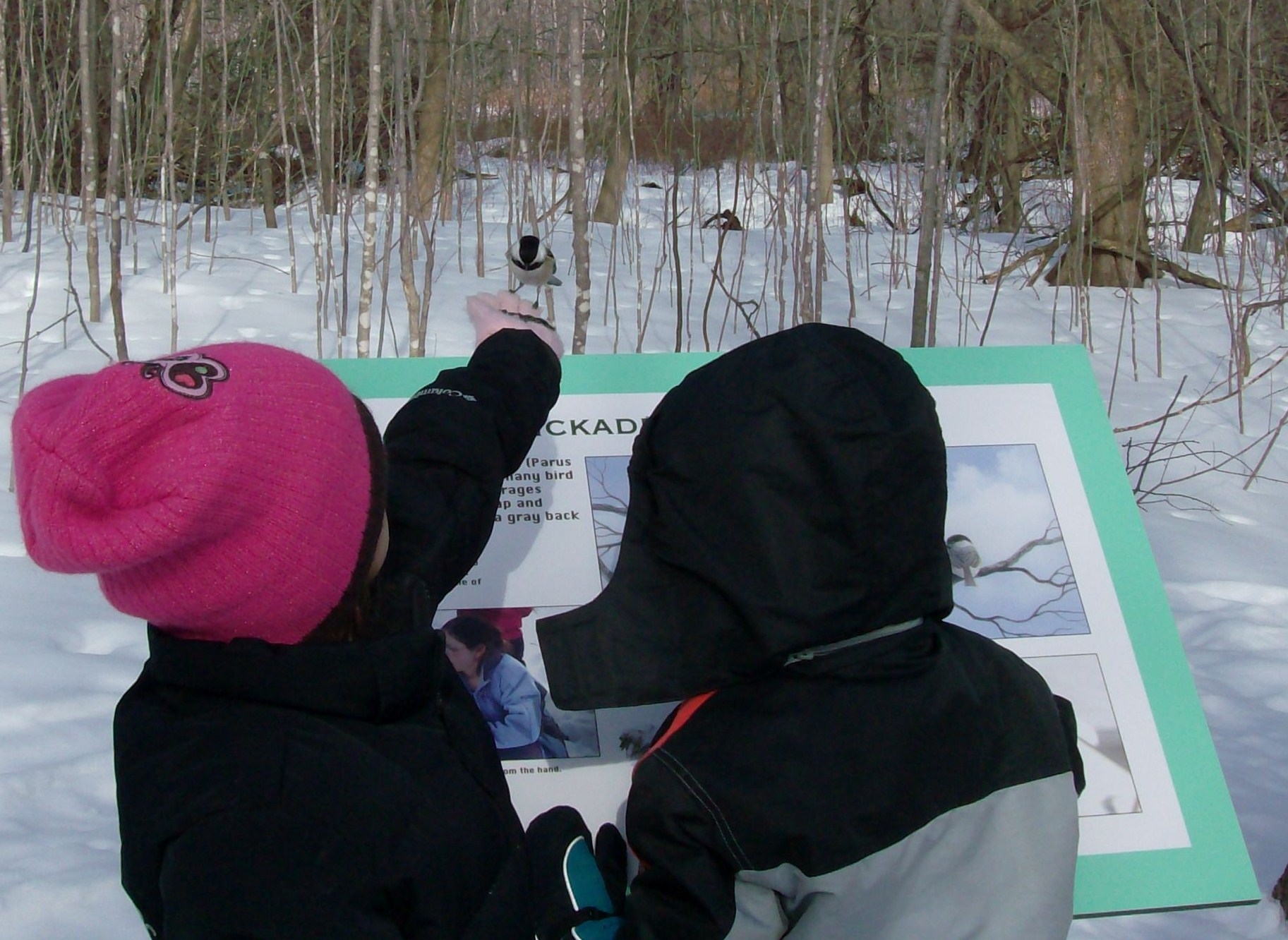 12_RMNCbest kids.sign.pic.2.10oprhp