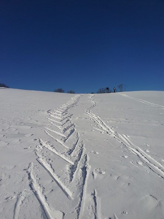 15_ski_tracksV