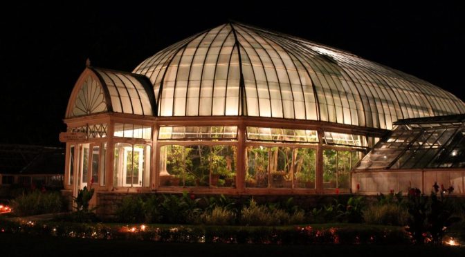 Growing the Future in Gilded Age Greenhouses