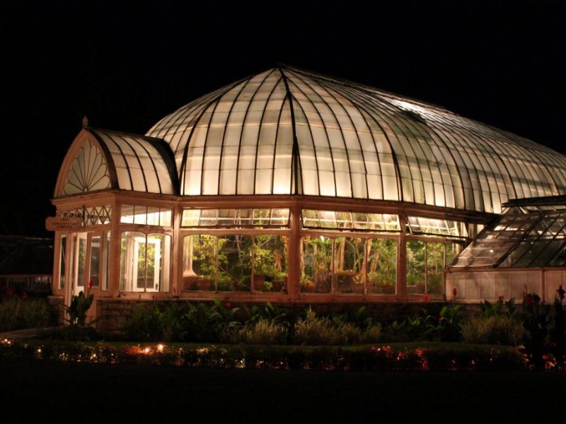 Growing the Future in Gilded Age Greenhouses