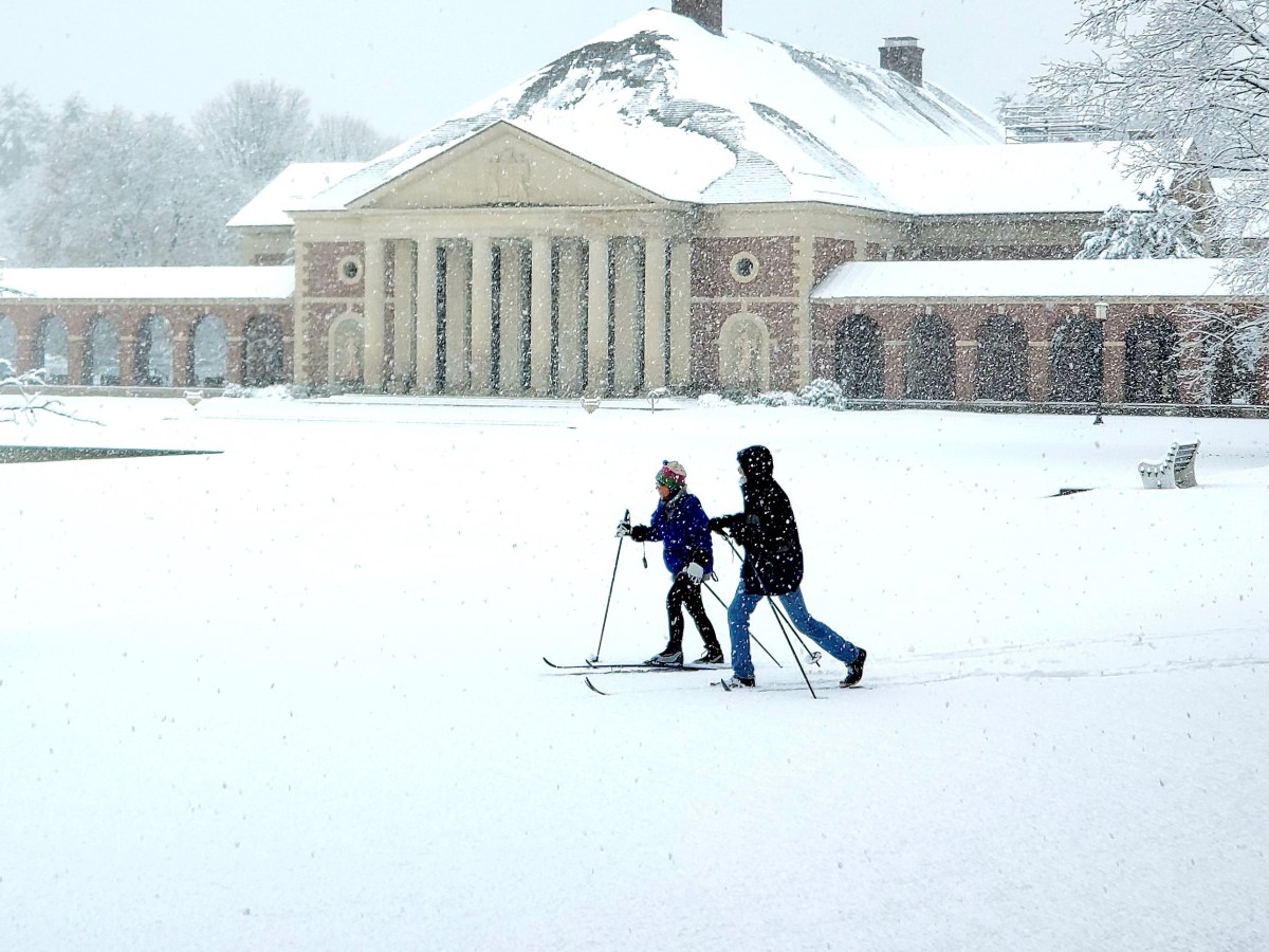 Glide Through Winter on State Park Ski Trails