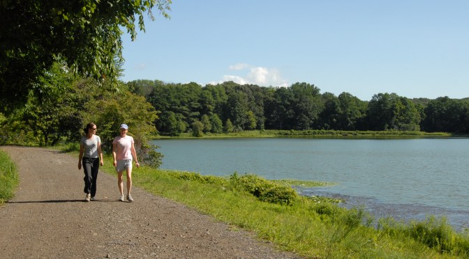 King of the Road at Rockefeller State Park Preserve