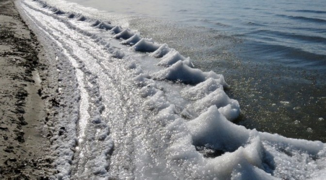 Wonders of the Winter Beach