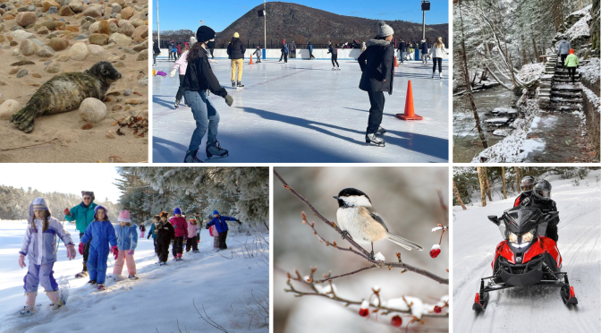 Making The Most of Winter in New York State
