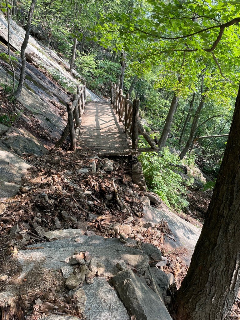 A wooden footbridge spans a rocky trail in a lush, green forest, showcasing the natural beauty and maintenance efforts within the Palisades region.