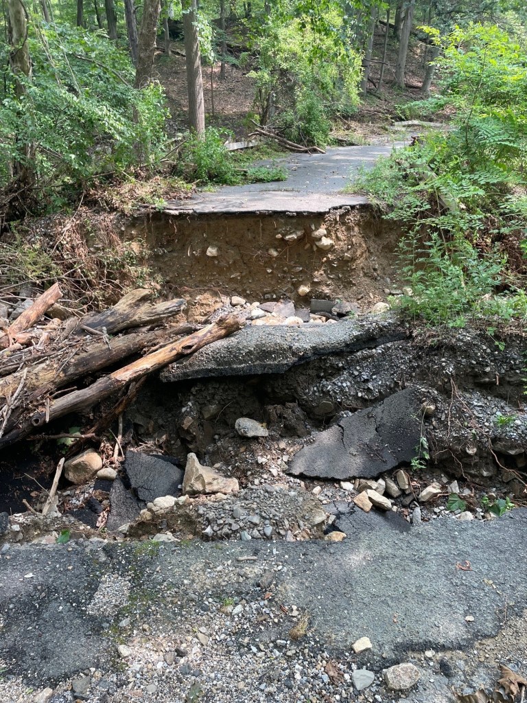 An eroded trail section showing exposed soil, rocks, and fallen logs, highlighting damage caused by heavy rainfall in a wooded area.