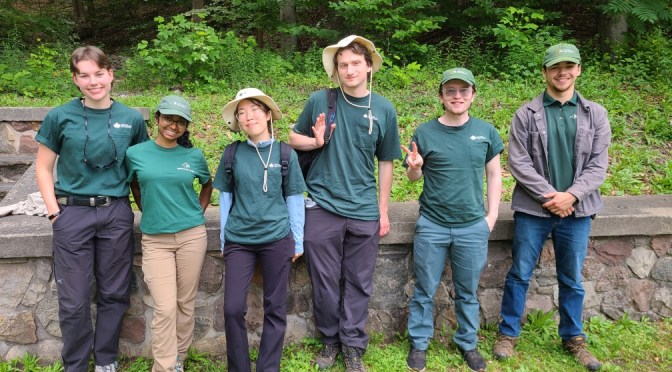 Digging into Waste Diversion: the Finger Lakes and Thousand Islands